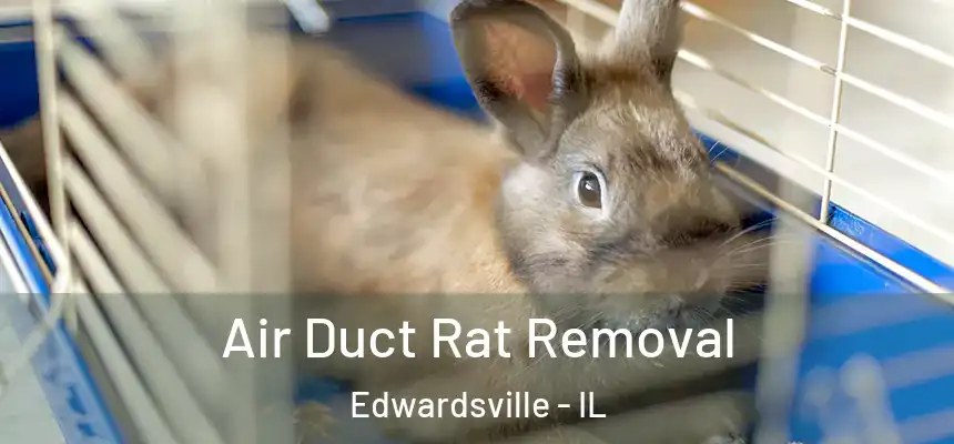  Air Duct Rat Removal Edwardsville - IL