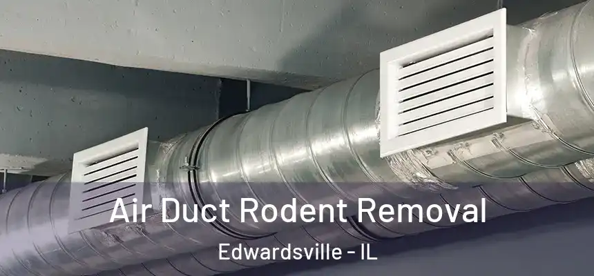  Air Duct Rodent Removal Edwardsville - IL