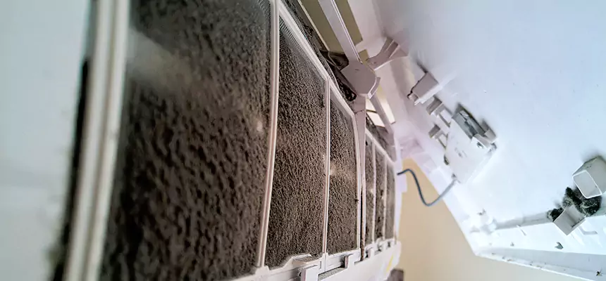 Preventive Air Duct Bacteria Removal in Edwardsville