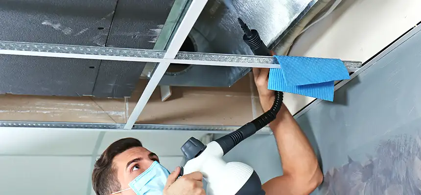 Our Air Duct Rodent Removal Services in Edwardsville, IL