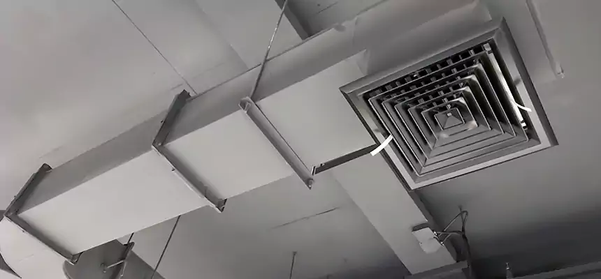 Restorative Allergy Relief Vent Cleaning – Coil, Blower & Housing Detail in Edwardsville