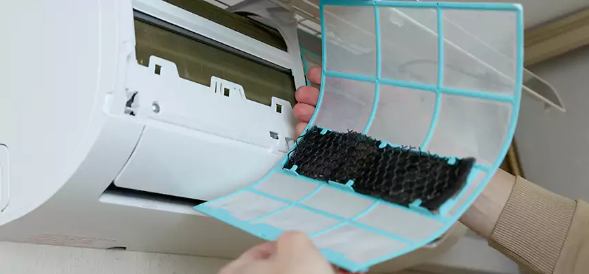 Gentle Ductwork Odor-Control Pet Dander Duct Cleaning in Edwardsville, IL