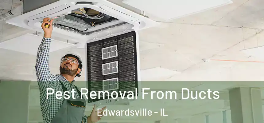  Pest Removal From Ducts Edwardsville - IL
