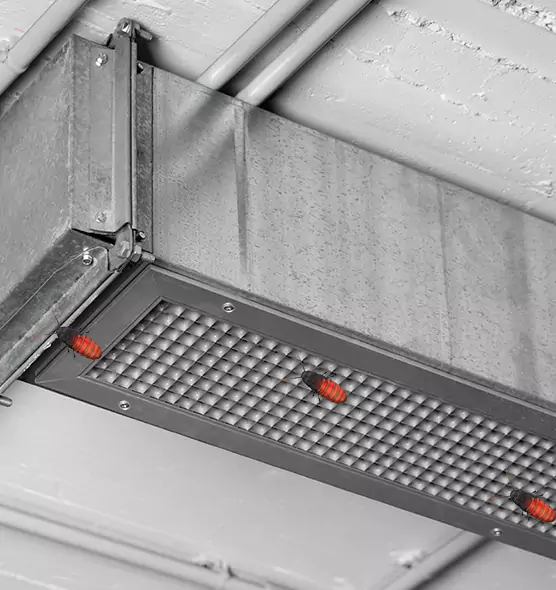 About Air Duct Cockroach Removal in Edwardsville, IL