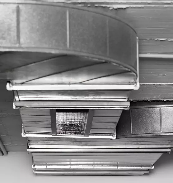 Professional Air Duct Pest Removal in Edwardsville, IL