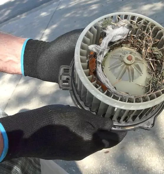 About Air Duct Rat Removal in Edwardsville, IL