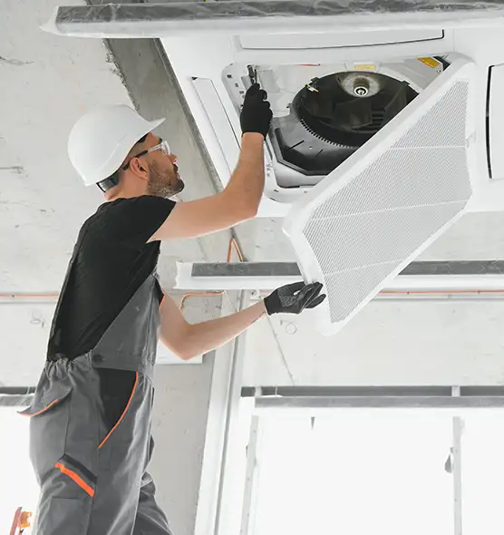 About Air Duct Rodent Removal in Edwardsville, IL