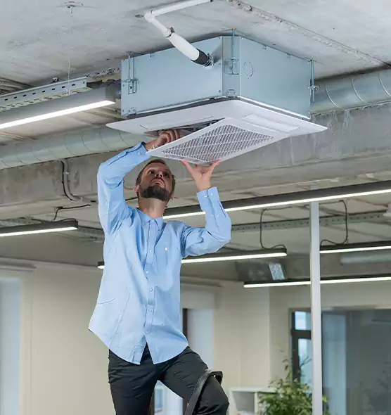 Advanced Rodent Droppings In Vents in Edwardsville, IL