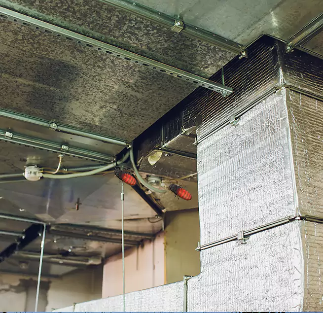 Why Homeowners & Businesses Trust Us in Edwardsville, IL?