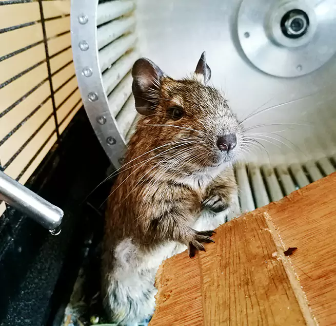 Why Homeowners & Businesses Trust Us Edwardsville, IL