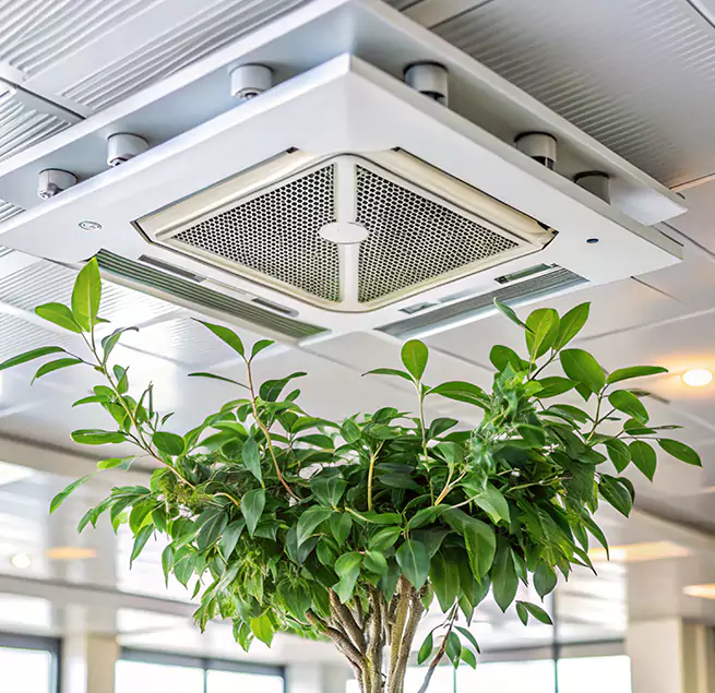 Why Homeowners & Businesses Trust Us in Edwardsville, IL